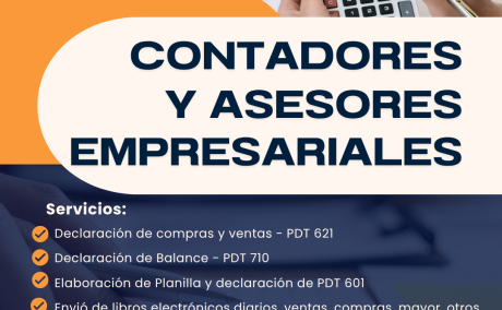 SERVICIO CONTABLE